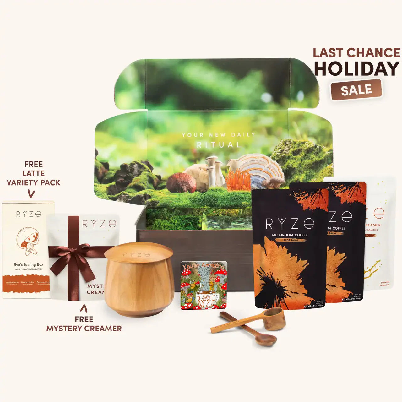 Mushroom Coffee - Choice MG2399