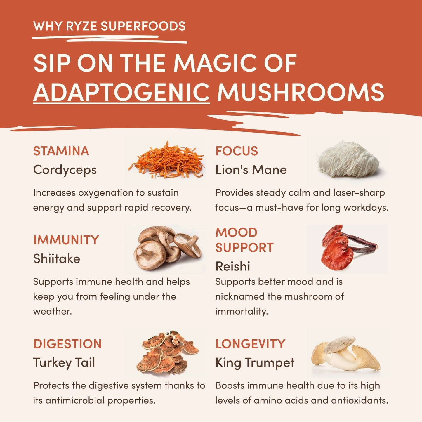 Superfood Creamer - Choice MG5161